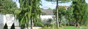 Renovated garden – image 8