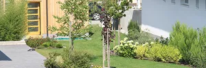Wild garden – image 2