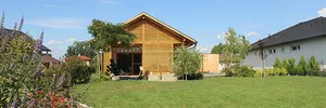 Wild garden – image 3