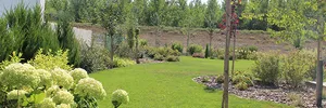 Wild garden – image 5