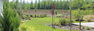 Wild garden – image 8