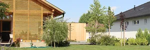 Wild garden – image 11