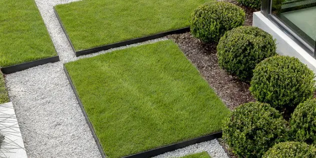 Geometric lawns, gravel strips and evergreens clipped into balls in a modern garden