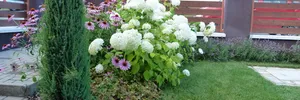 Relaxation garden – image 1