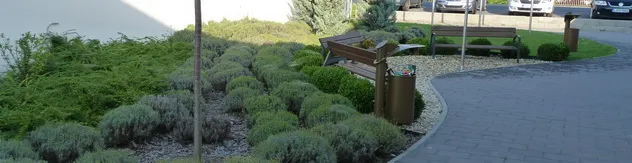 Public planting beds with lavender and ornamental grasses along a promenade