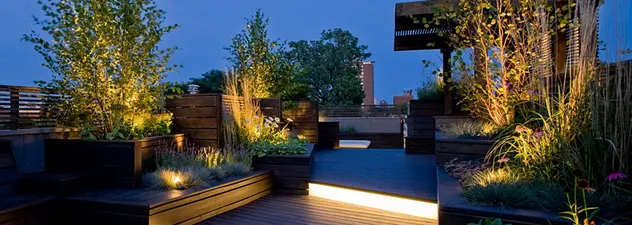 Roof terrace lit in the evening light, with ornamental grasses and timber-clad planters