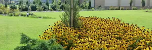 Flower garden – image 1