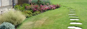Flower garden – image 7