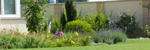 Flower garden – image 9