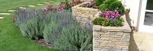 Flower garden – image 4