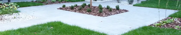 Mulched planting bed framed by block paving in an inner courtyard